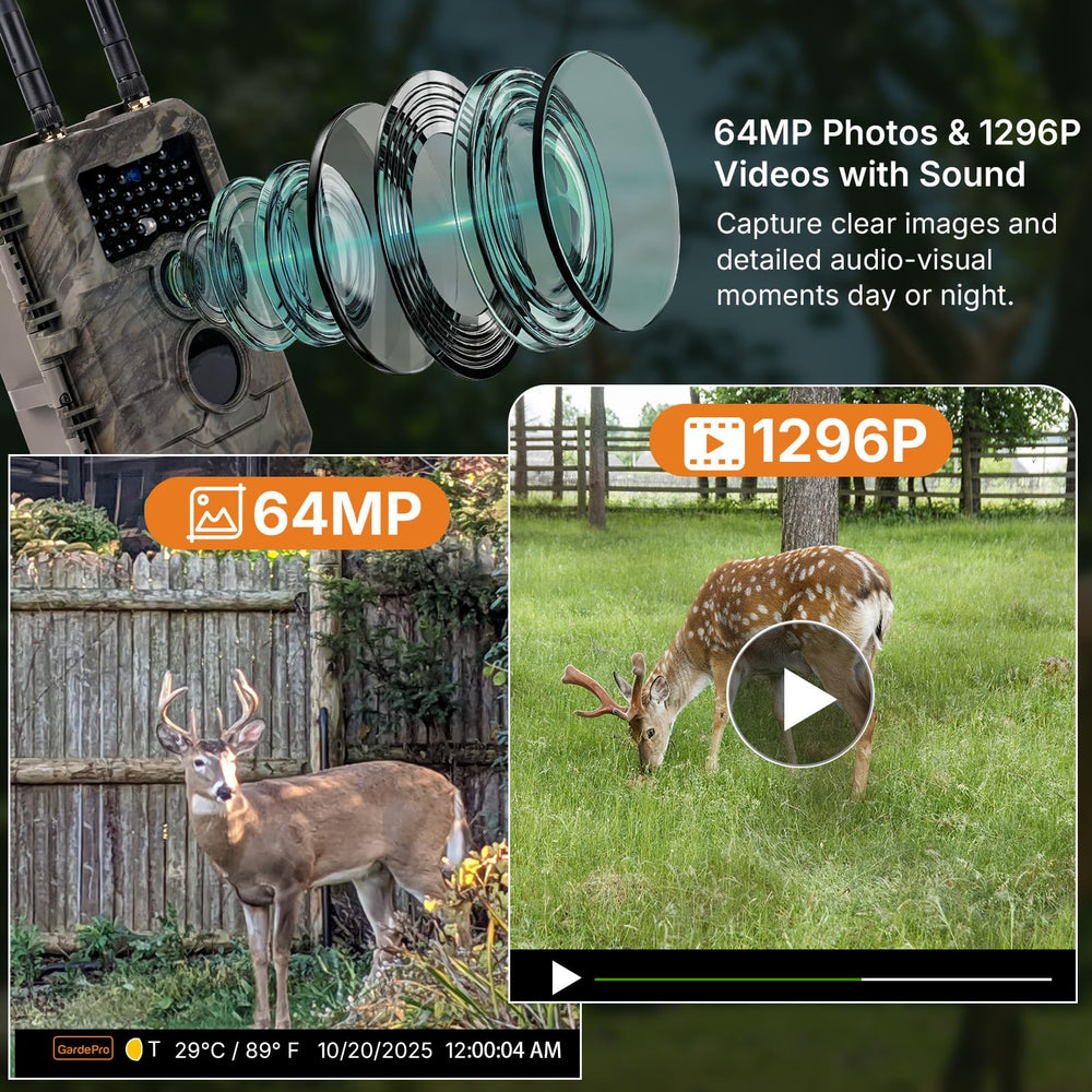 GardePro E6+ records 1296P video with clear motion at dawn or dusk.