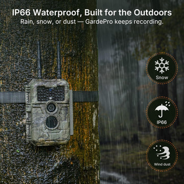 GardePro E6+ IP66 waterproof housing withstands rain and dust.