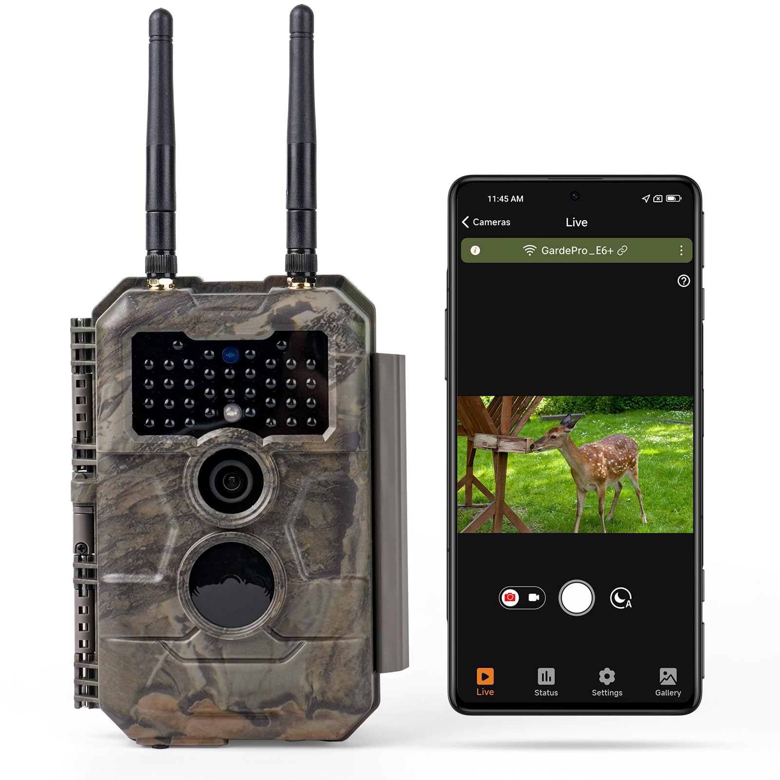 GardePro E6+ trail camera outdoors demonstrates long-range Wi-Fi for remote monitoring.