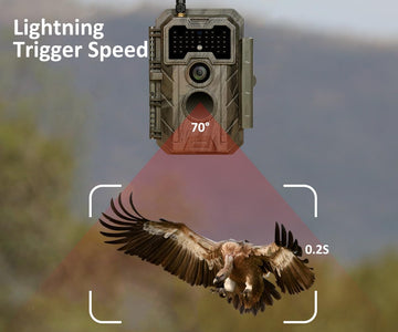 GardePro E7 night-vision-lens captures clearer nighttime wildlife with adaptive IR