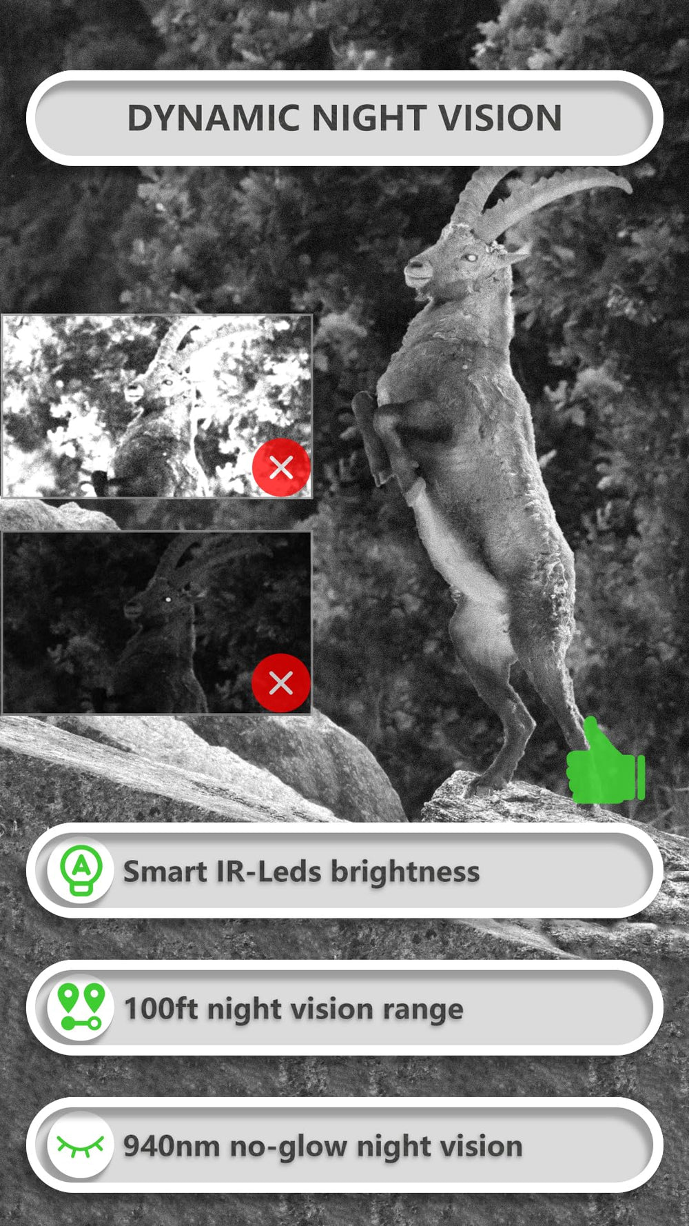 GardePro E8P adaptive infrared illumination enhances night shots across distances.