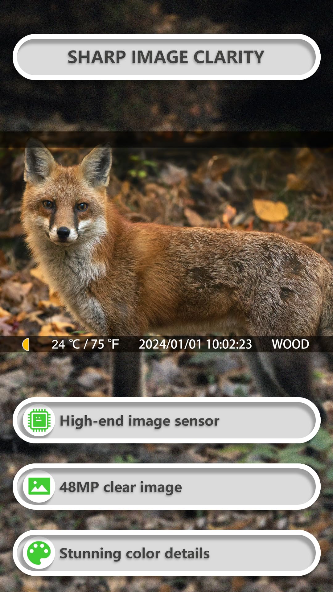 GardePro E8P 48MP stills capture detailed wildlife and property scenes.
