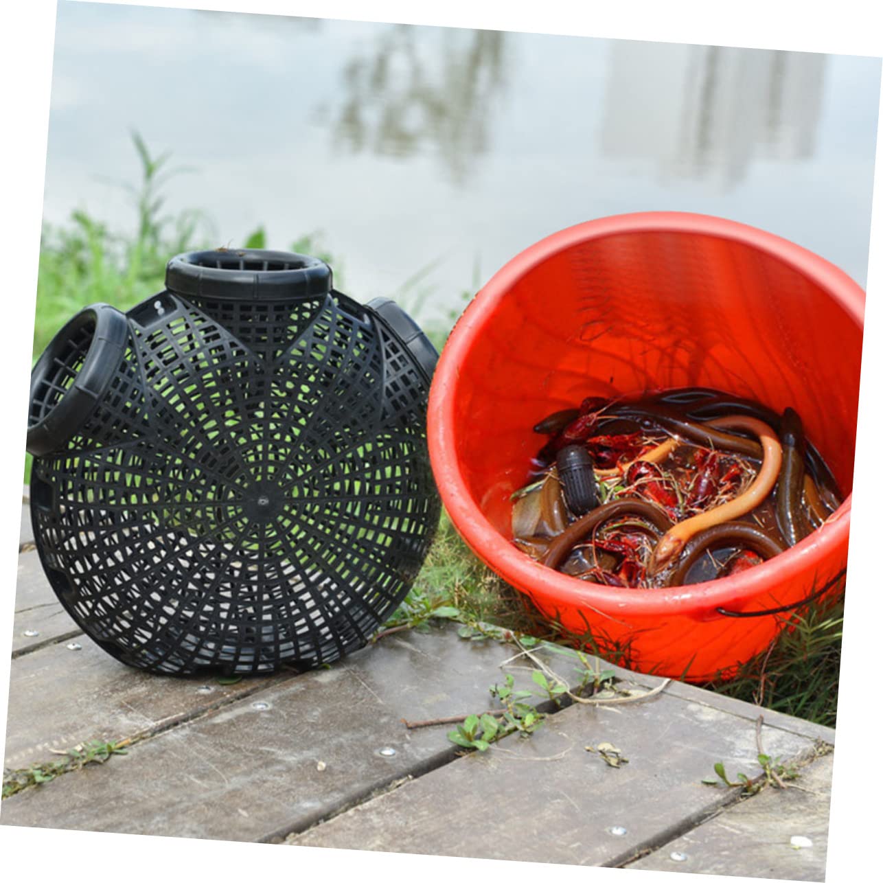 GAROZATION eel-catching-basket bait-at-holes setup helps efficient eel fishing.