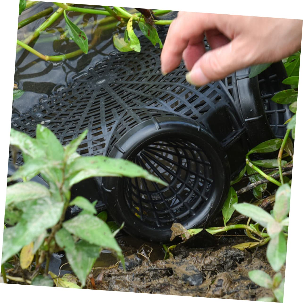 GAROZATION eel-catching-basket-durable-construction resists wear in rugged waters.