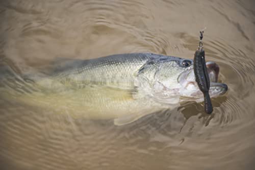 Gary Yamamoto Yamatanuki 3.5 inch Baby Bass lure, ideal for forward-facing sonar and dragging.