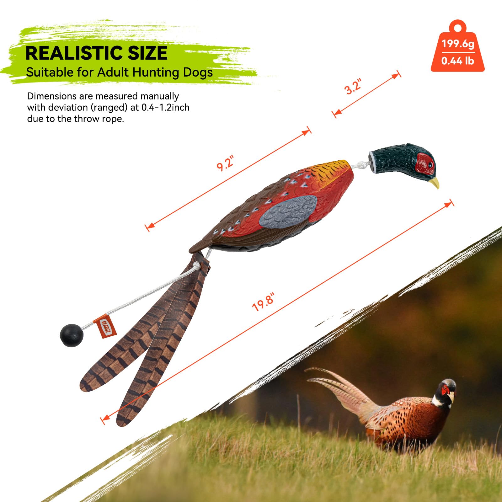 GearOZ pheasant dummy floating-water demonstrates buoyancy for water retrieves.