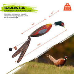 GearOZ pheasant dummy floating-water demonstrates buoyancy for water retrieves.