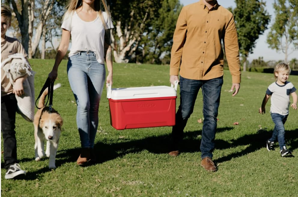 Generic ChillMaster odor-resistant liner simplifies cleaning after outdoor meals and gatherings.