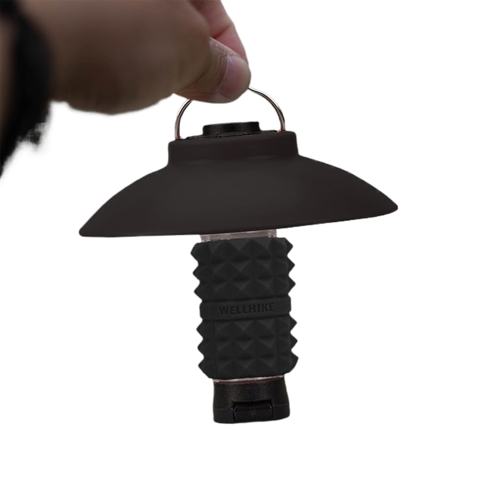 Generic lampshade interior promotes condensation control for clear lighting.