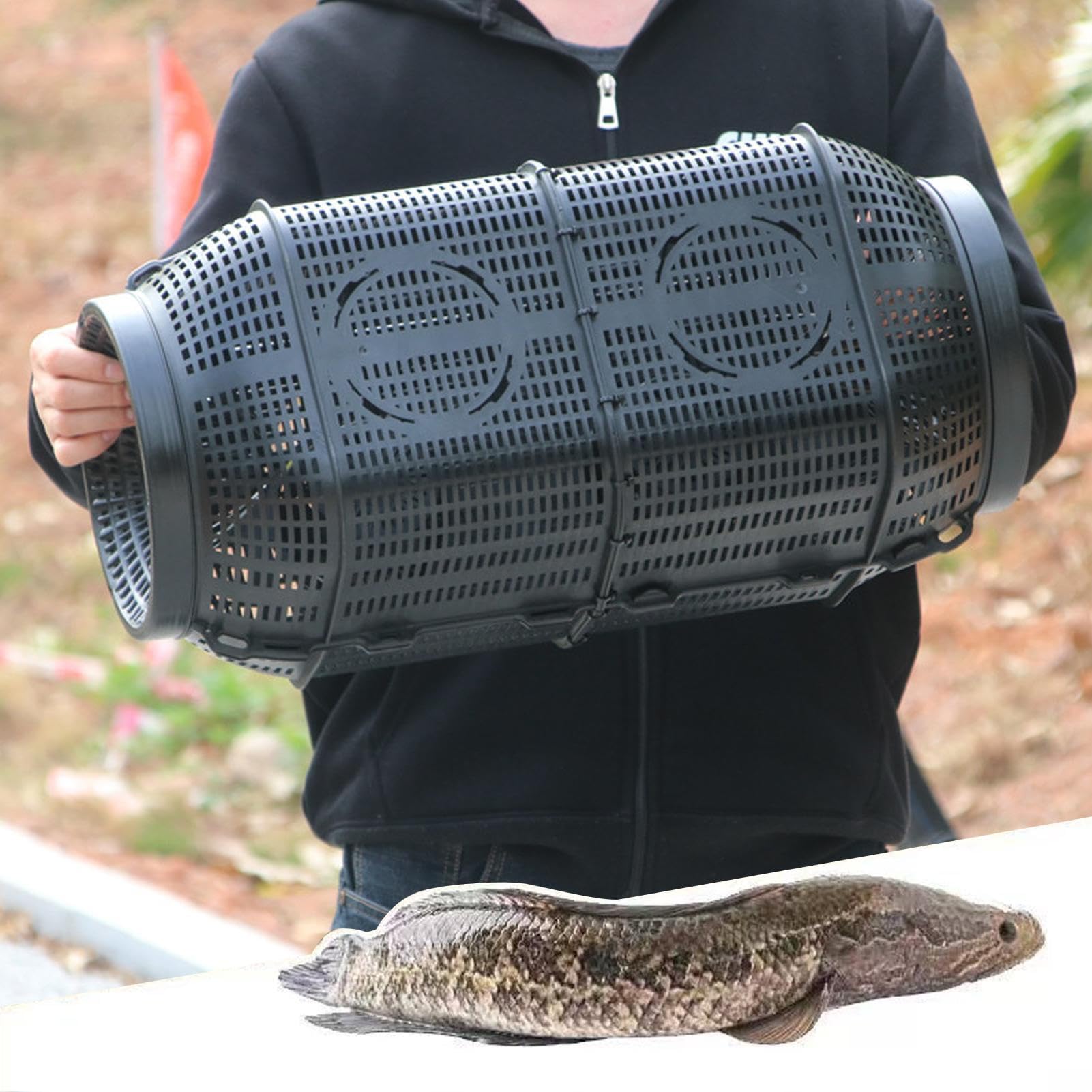 Generic Fish Trap crab-entry configuration enables efficient crustacean capture.