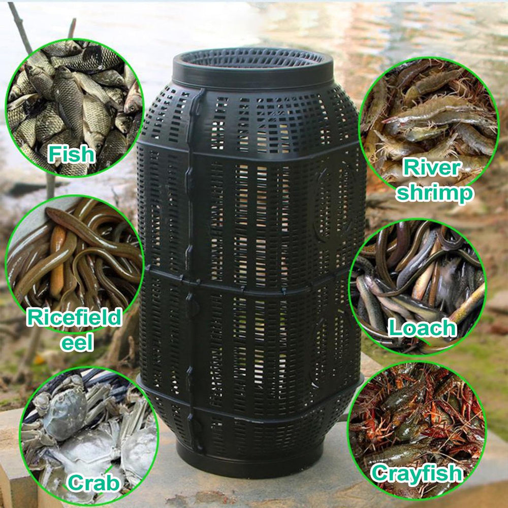 Generic Fish Trap eel-turtle-catching-setup highlights secure capture on mixed species.