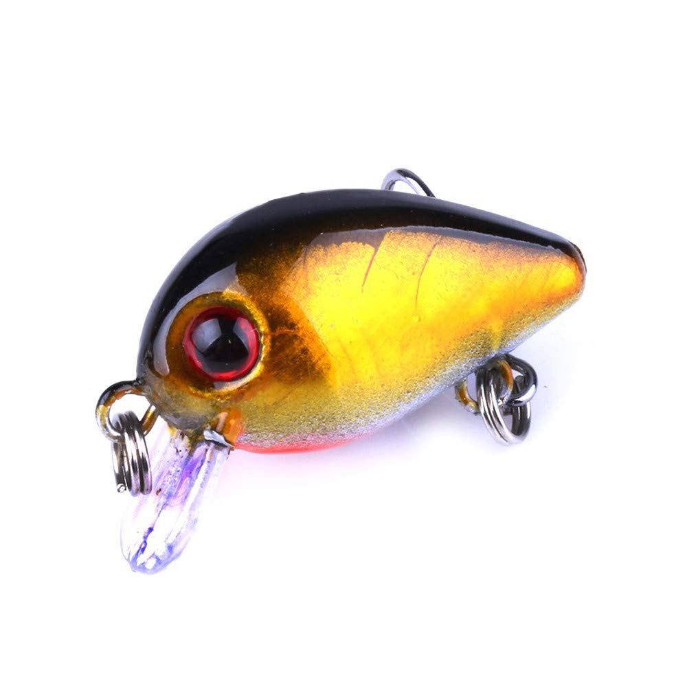 Generic tackle box included keeps lures organized.