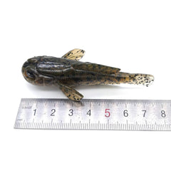 Generic Goby Soft Lure with realistic color design attracting bass and perch