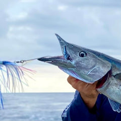Generic limerick trolling hooks wahoo-proof design supports teethy fish targeting and reduced line twists