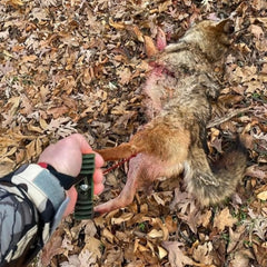 One-size-fits-all design of Generic Predator Wild Game Cuffs for versatile field use