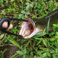 Generic Tackle Box Compact Spreader fits in a tackle box.