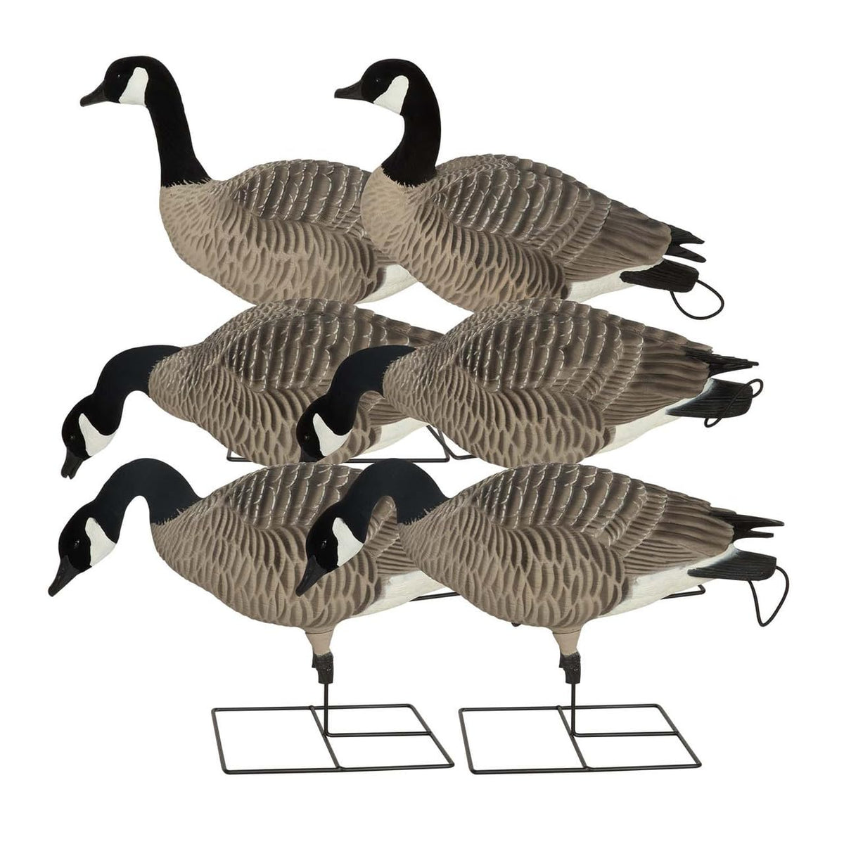 GHG Pro-Grade XD full-body Canada Goose decoy with harvester pose for quick setup and realistic movement
