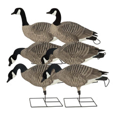 GHG Pro-Grade XD full-body Canada Goose decoy with harvester pose for quick setup and realistic movement