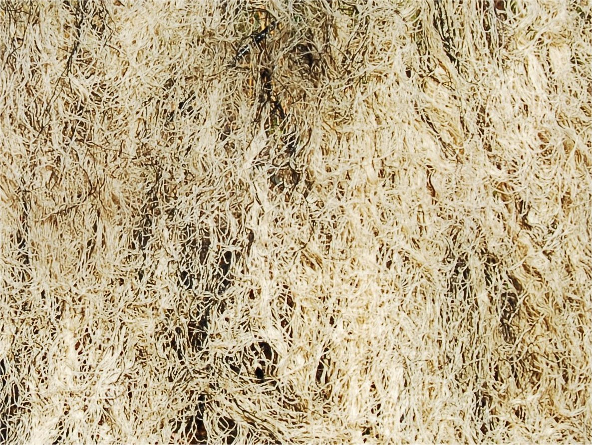 Ghillie Blanket with 1 by 1 inch netting supports ground blind camouflage.