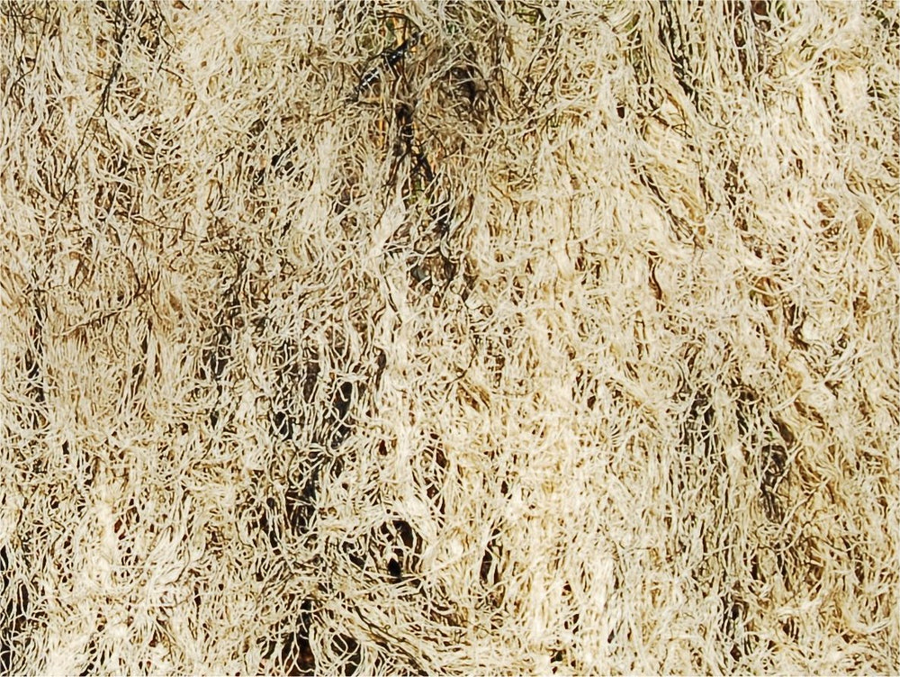 Ghillie Blanket with 1 by 1 inch netting supports ground blind camouflage.