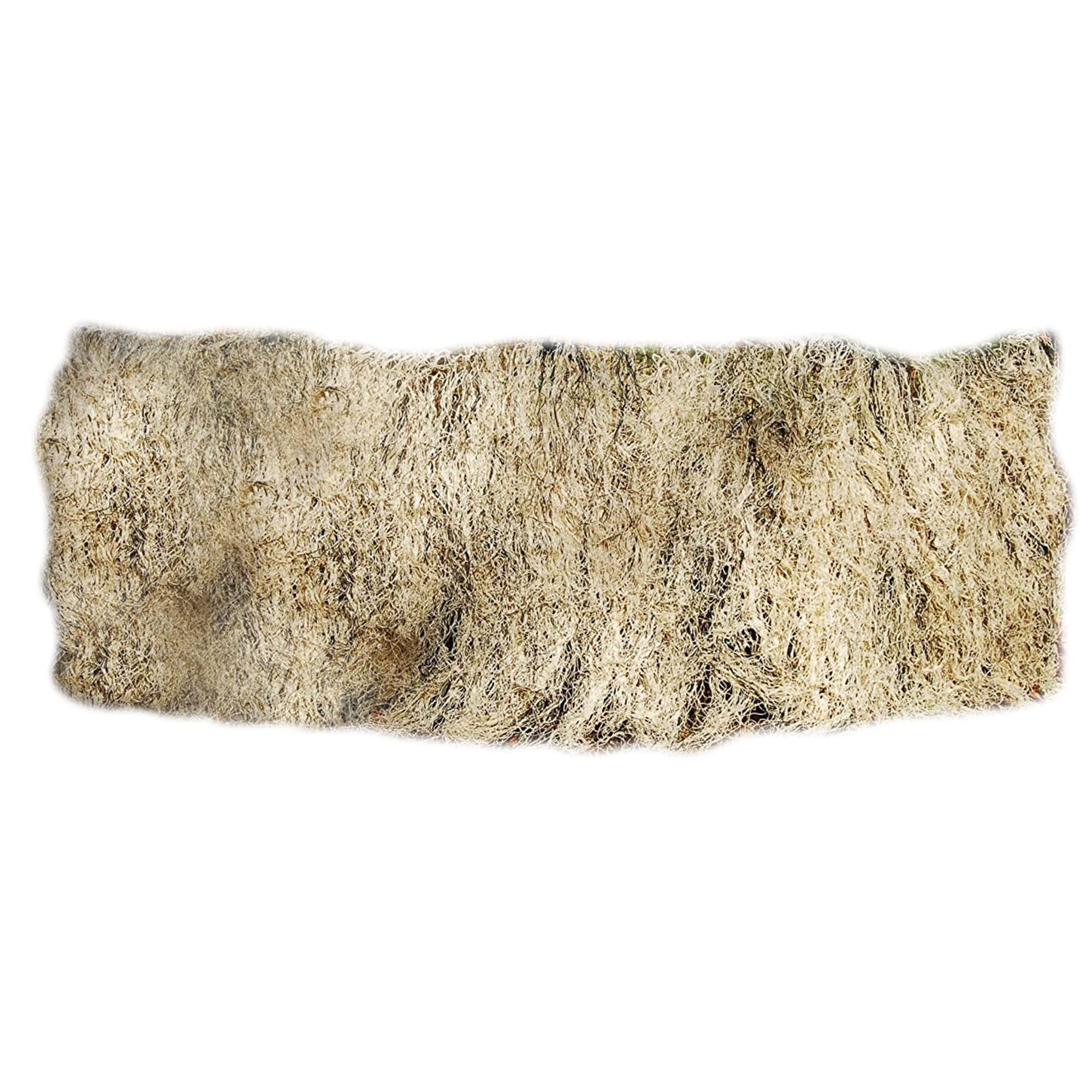 Ghillie Turkey Blind Cover desert camo setup enhances concealment in arid fields