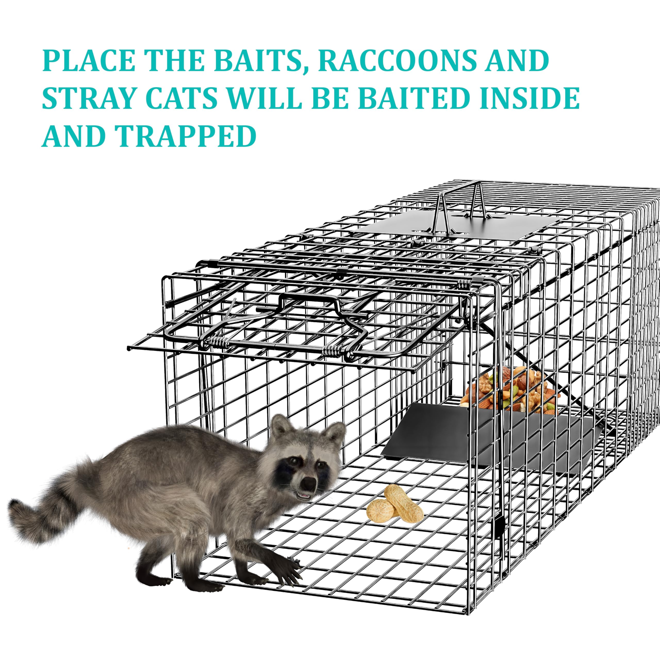 GHYKL Live Trap size detail shows ample space for mid-sized animals
