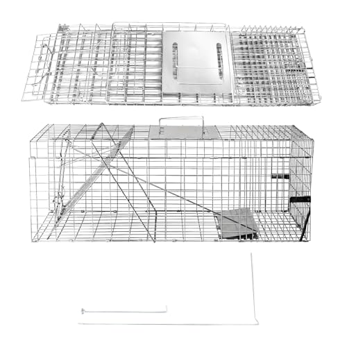 GHYKL live-trap-side-view demonstrates spacious 31x11x12 dimensions for versatile species.