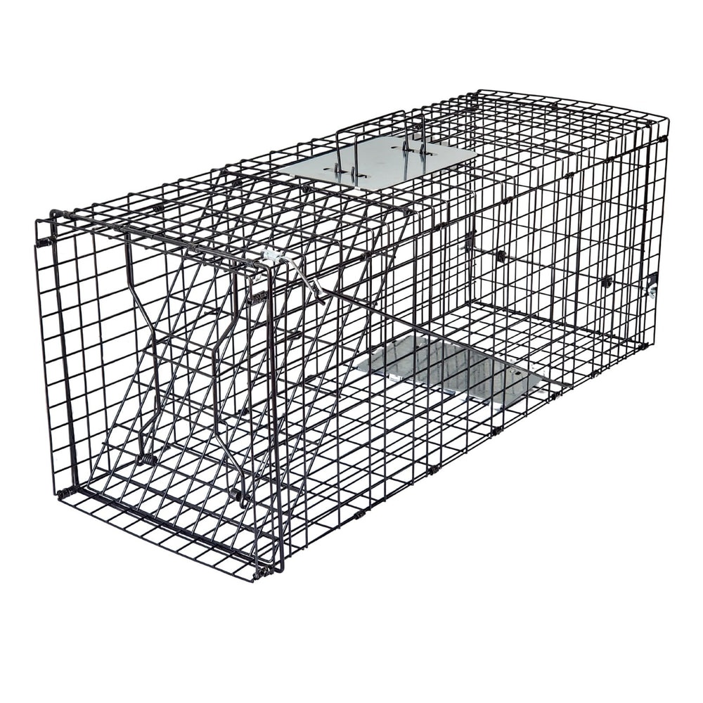 GHYKL Live Trap in use with raccoon demonstrates safe containment