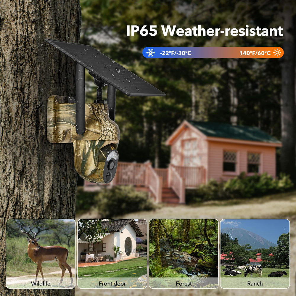 GLEEMALL trail camera memory storage and cloud options simplify footage retrieval.