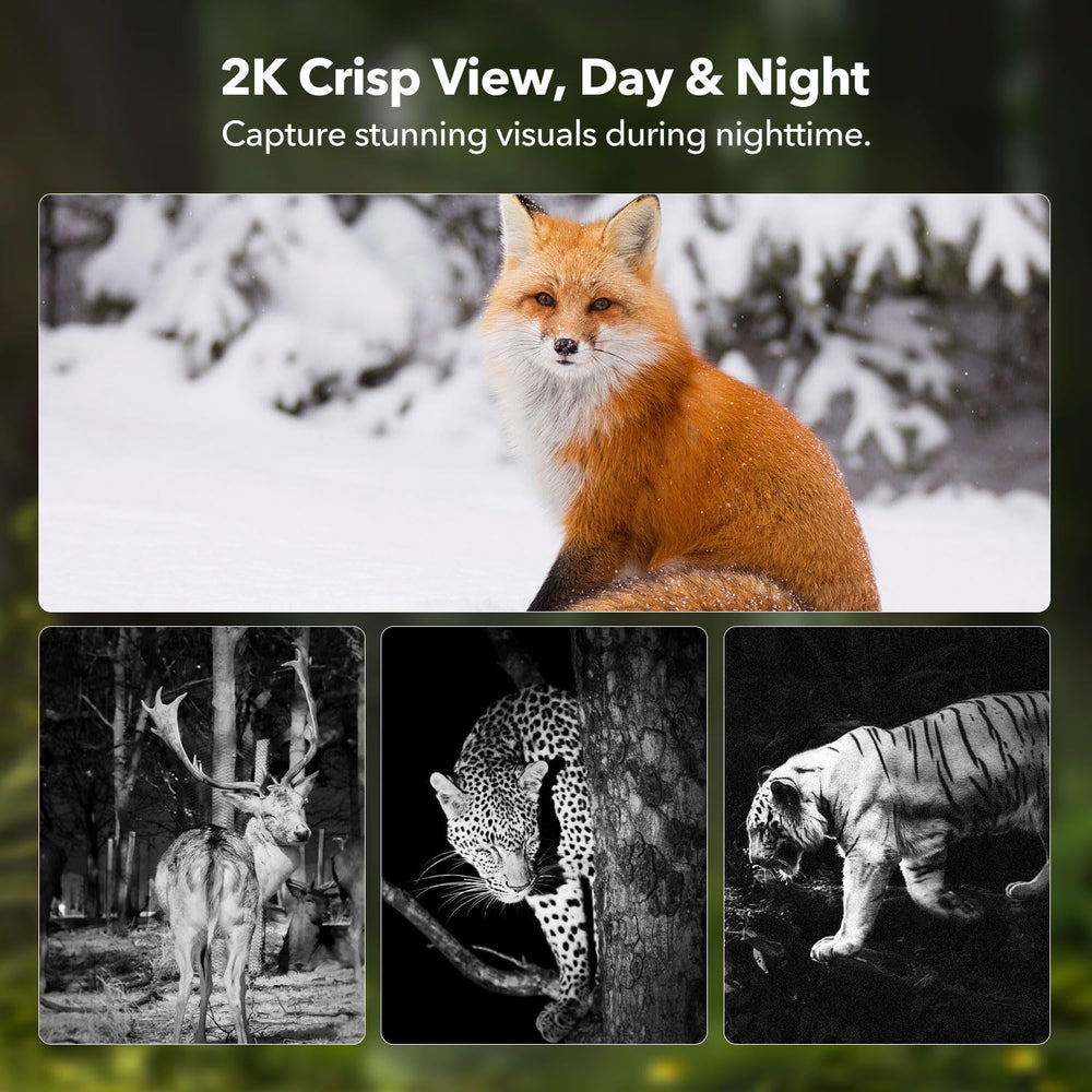 GLEEMALL trail camera motion alerts deliver fast notifications to your device.