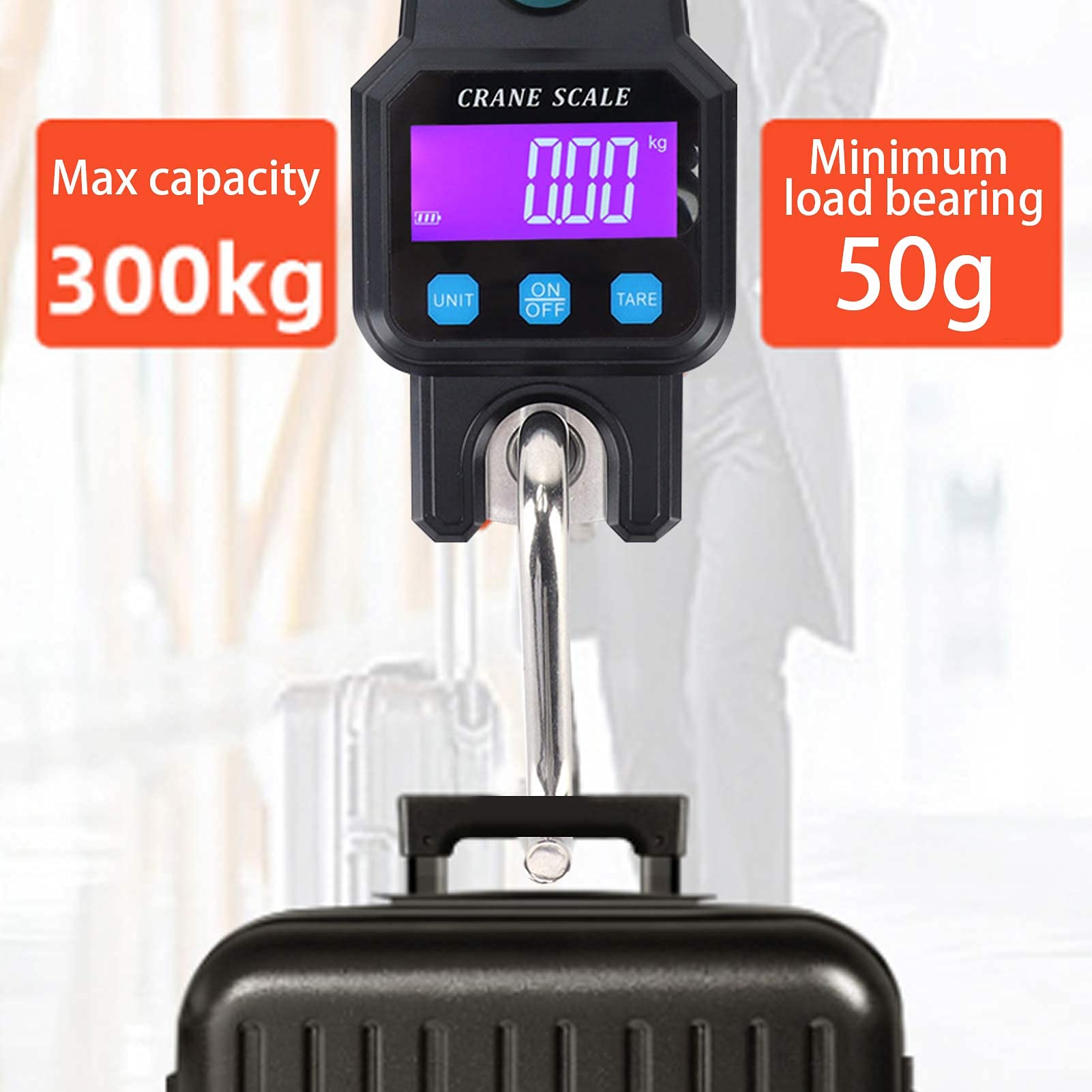 Detachable scale hook for easy portability