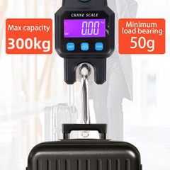Detachable scale hook for easy portability
