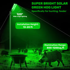 GLOPHOK Solar Hog Lights remote control enables timed brightness for flexible hunts.