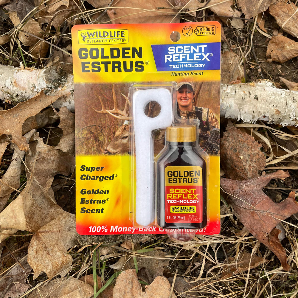 Golden Estrus wick-in-use demonstrates scent delivery for long-lasting attraction.