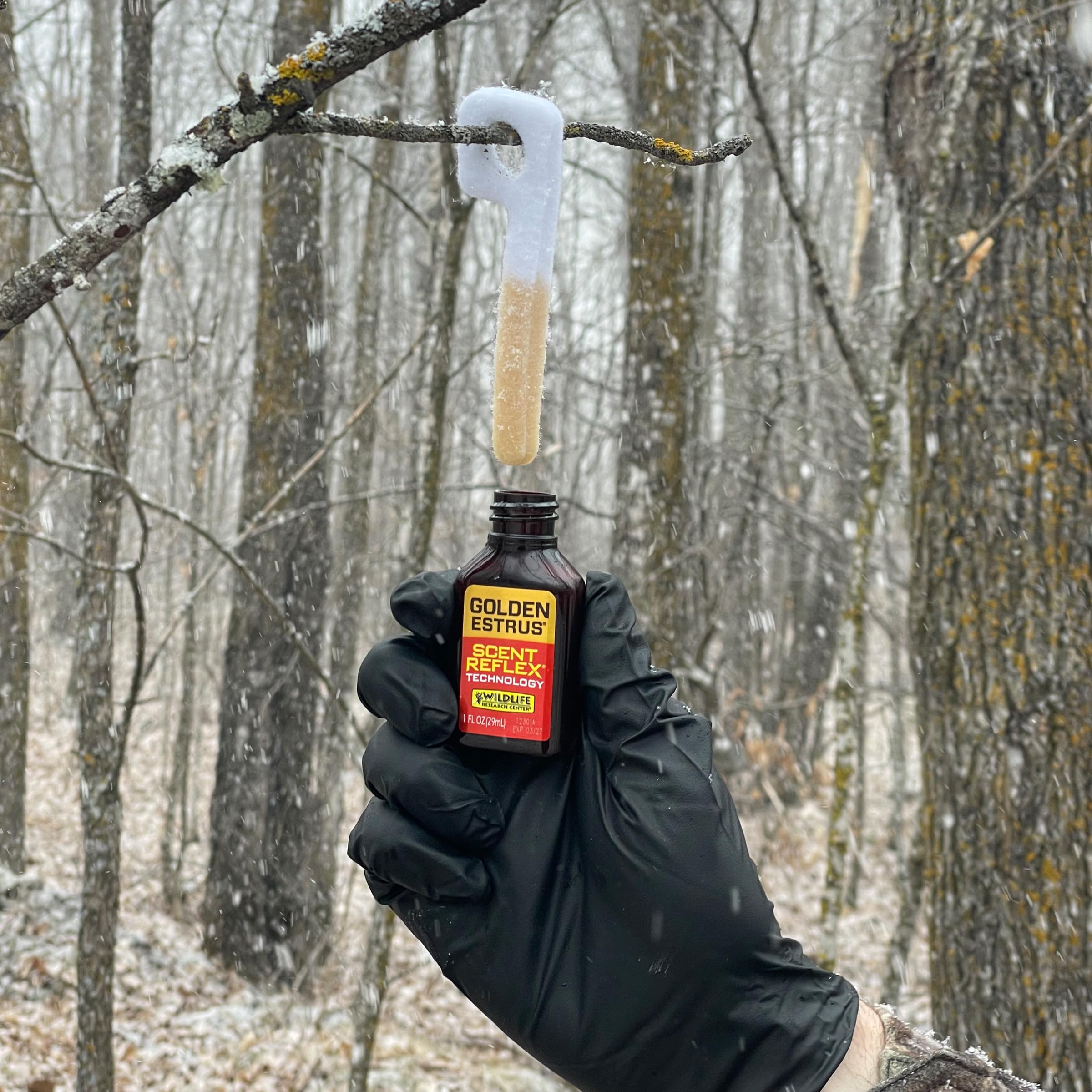 Golden Estrus premium doe urine illustrates authentic estrus secretions.