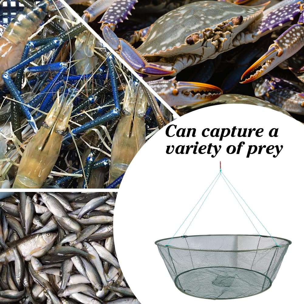 GOMAKERER wide application great for crabs, shrimp, small fish