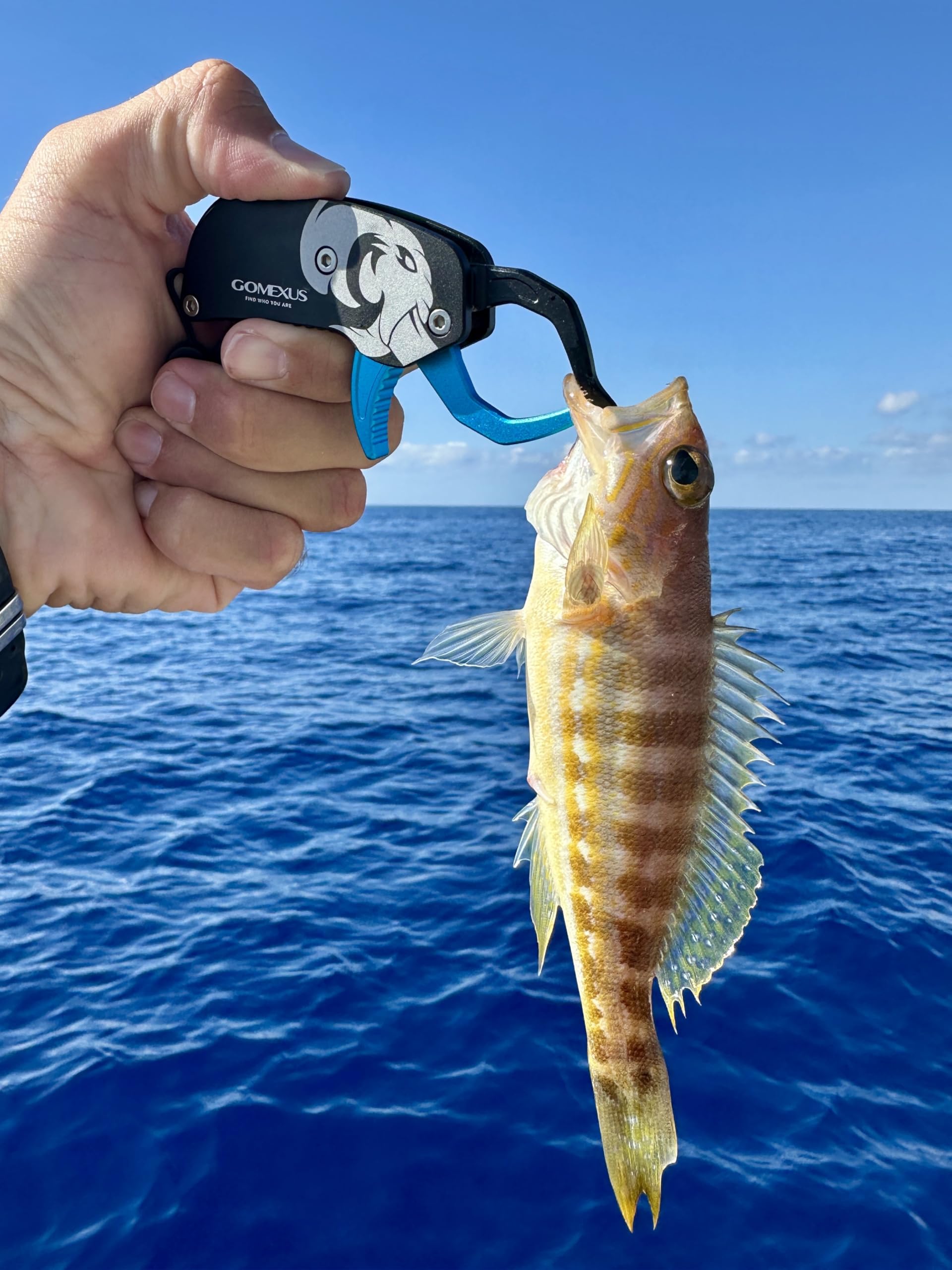 Easy-squeeze trigger action for safe release on the GOMEXUS gripper