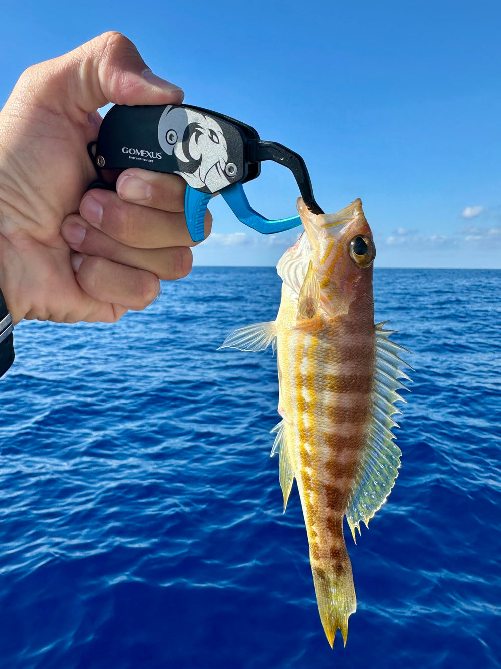 Easy-squeeze trigger action for safe release on the GOMEXUS gripper
