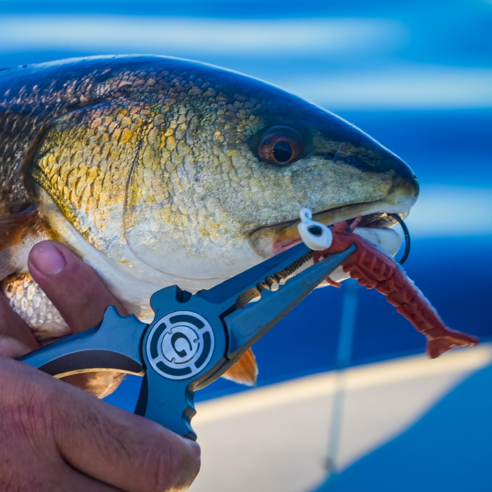 Inshore and nearshore fishing with Gomexus pliers