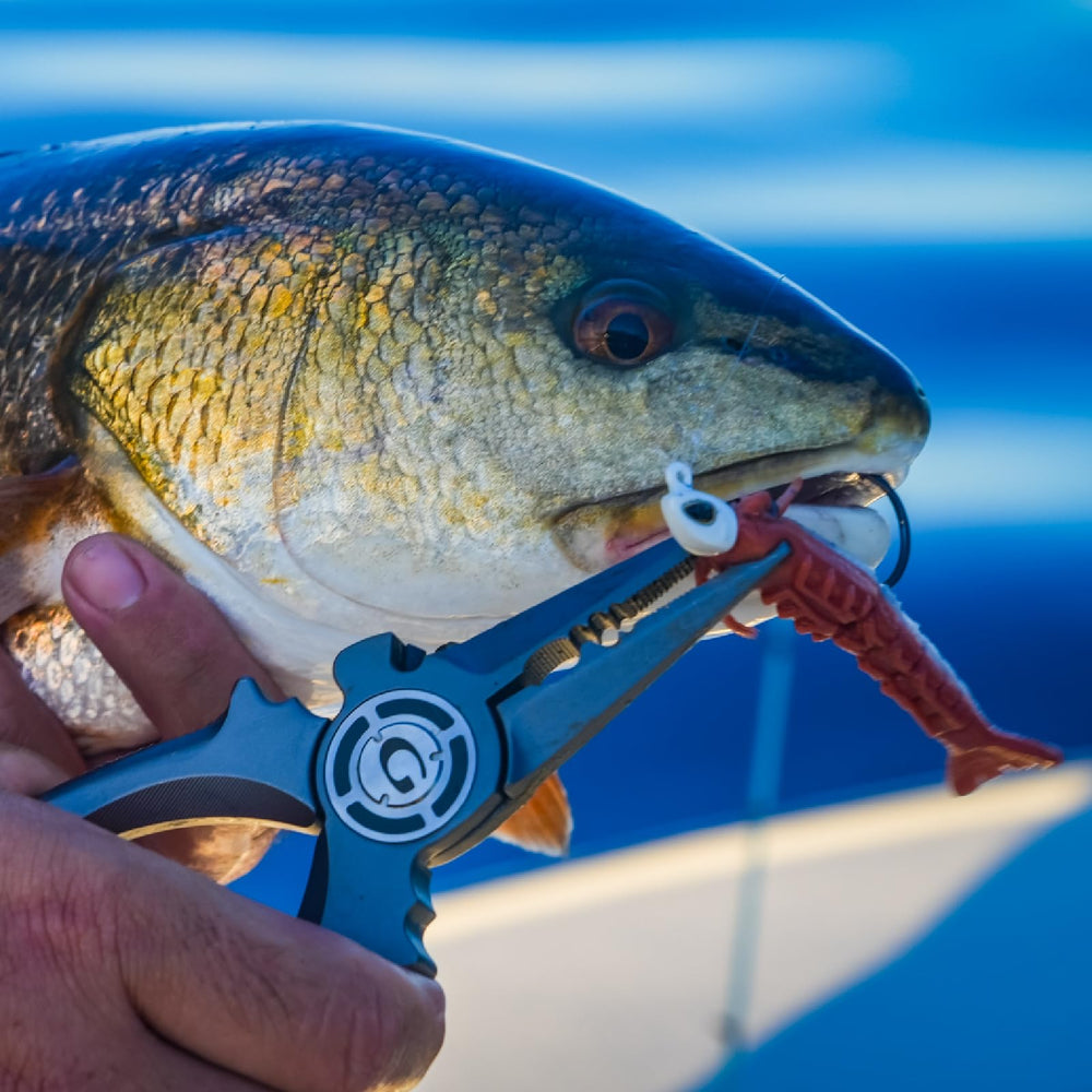 Inshore and nearshore fishing with Gomexus pliers