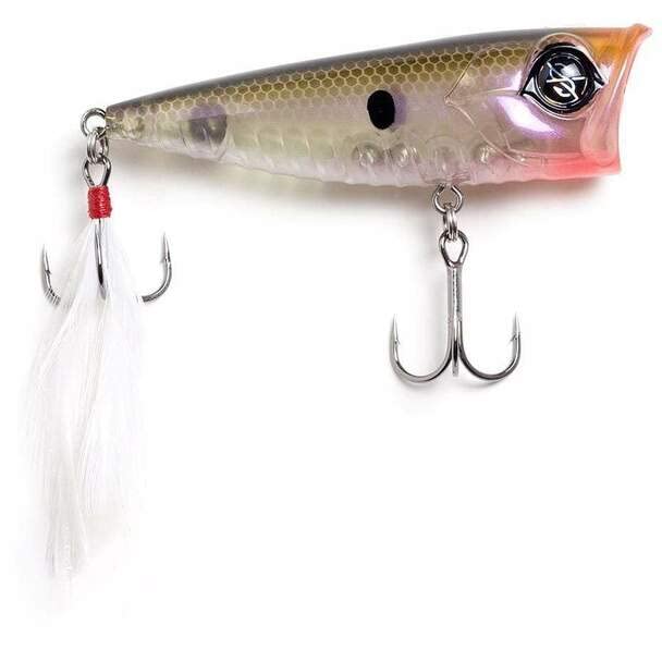 Googan Squad Blooper Popper Native Shad, front view, topwater splash for surface strikes.