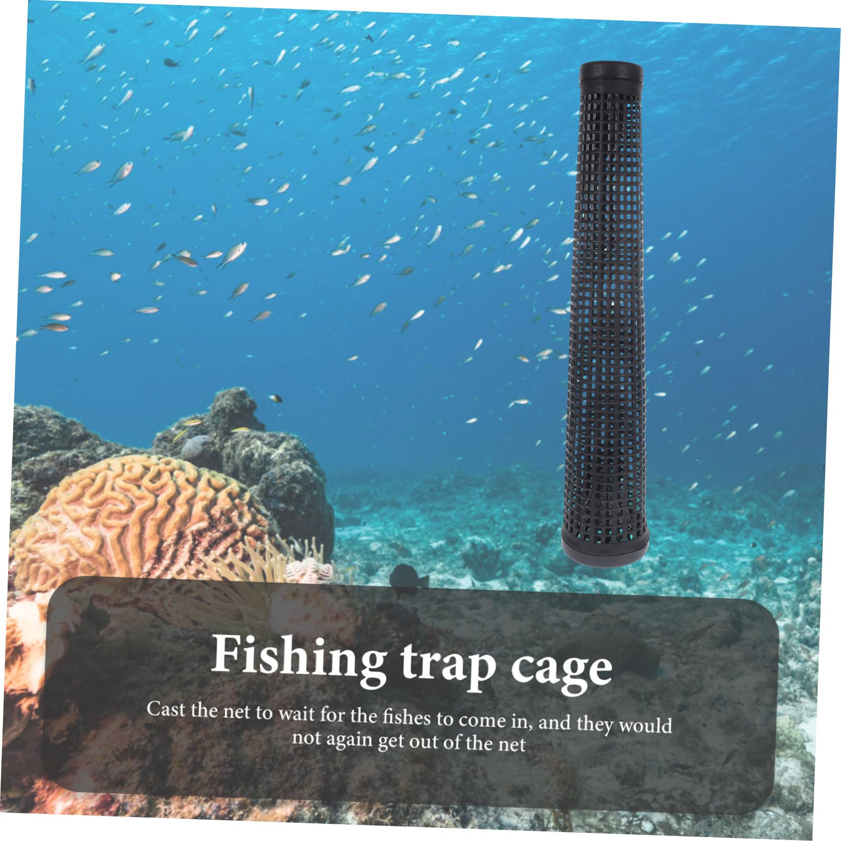 Open eel cage showing bait holes and mesh detail