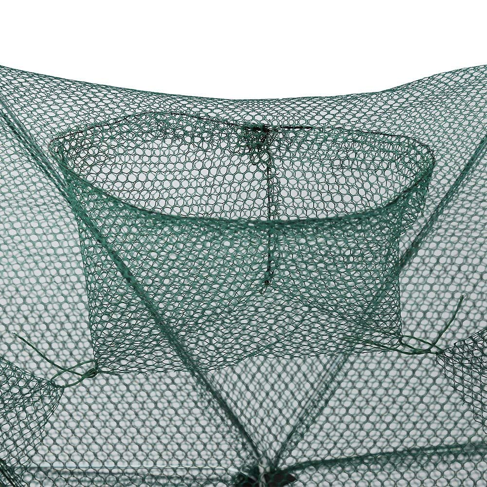 GOTOTOP designed to catch crabs, minnows, shrimp, crawdads, lobsters and more