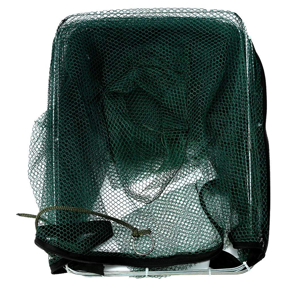 GOTOTOP sturdy steel-bracket support keeps the trap stable during retrieves