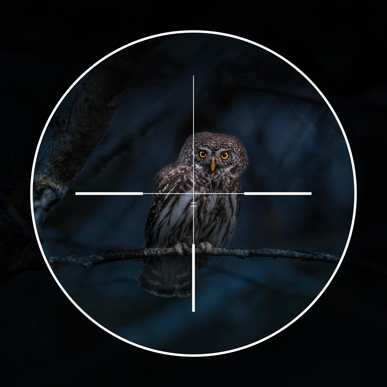 Goyojo Night Vision Scope uses a 16mm lens for clearer results in dim light