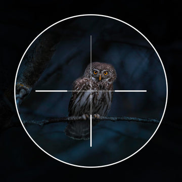 Goyojo Night Vision Scope uses a 16mm lens for clearer results in dim light