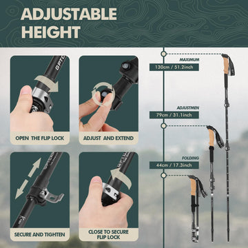 GPTCAMP trekking poles height-adjustable from 31 to 51 inches for diverse users.