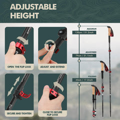GPTCAMP trekking poles height adjustable for people of various heights.