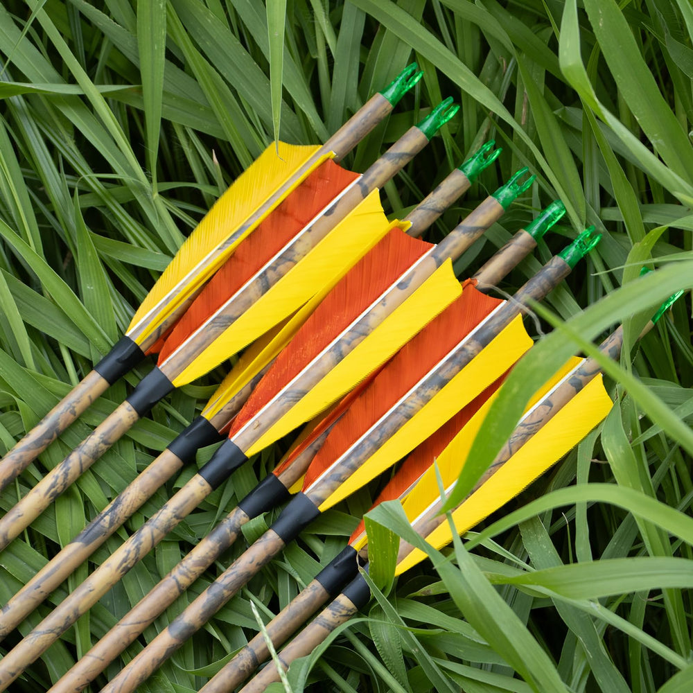 GQT pack of 12 arrows ready for practice sessions.