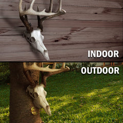 GRAND ORANGE 3-pack mounts for versatile trophy displays